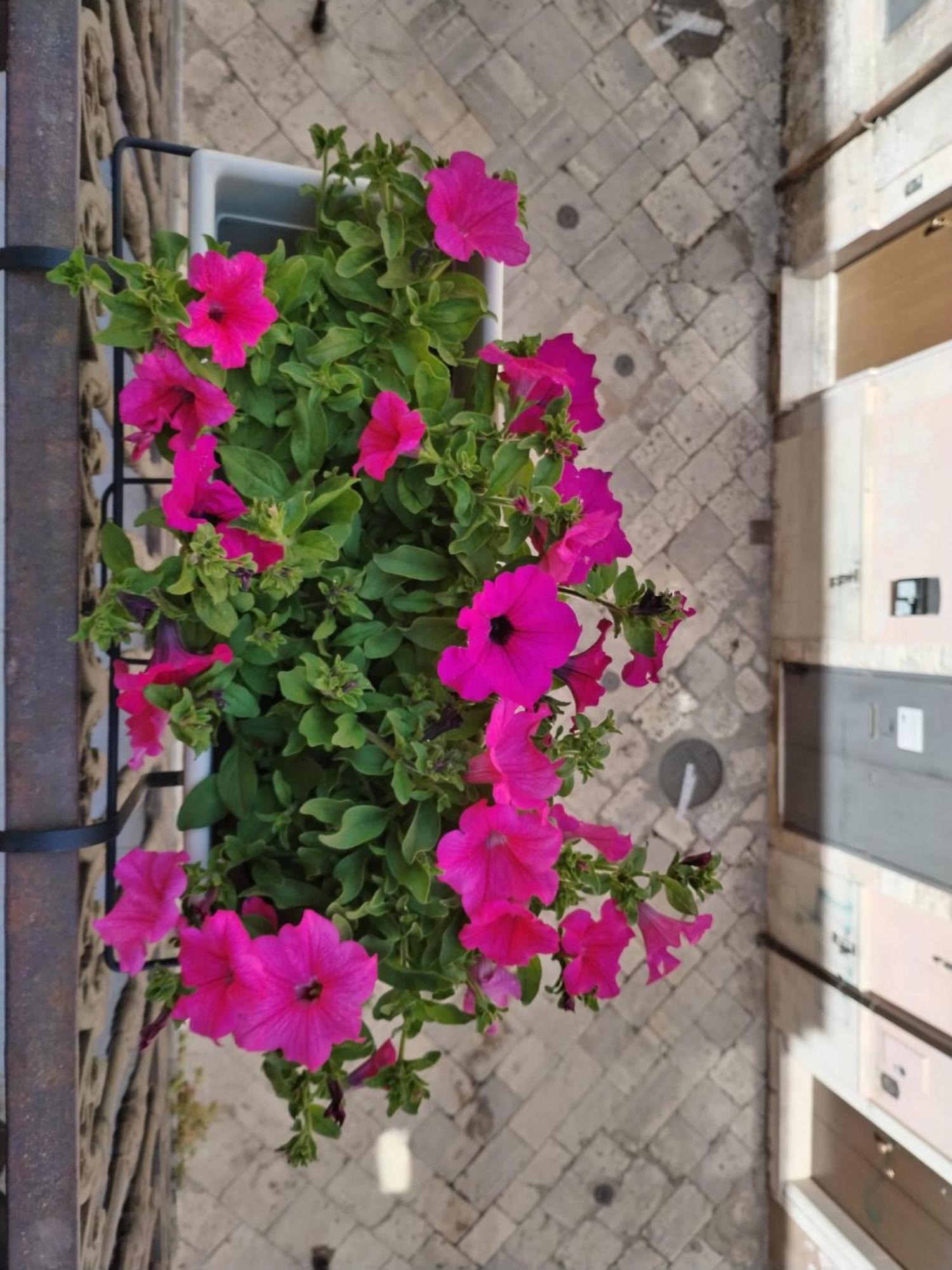 Happy House Salento Apartment Brindisi Exterior photo